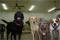daycare pic 144 - group shot